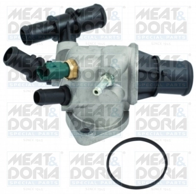 Thermostat, coolant